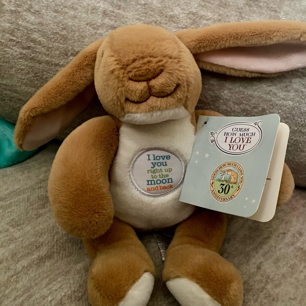 Brown Plush Bunny